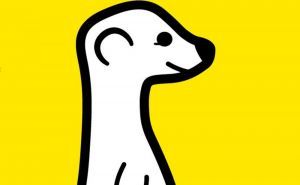 Meerkat is Now Available for Android Users
