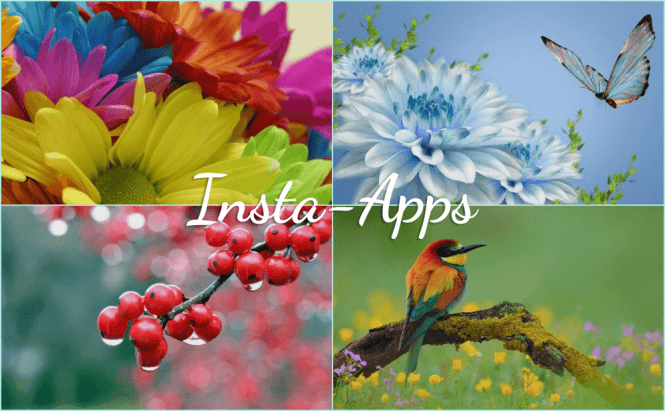 Insta-this, Insta-that: These Android Apps Do It All