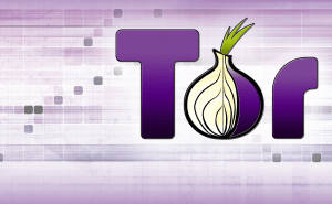 The Tor browser - a novice's guide